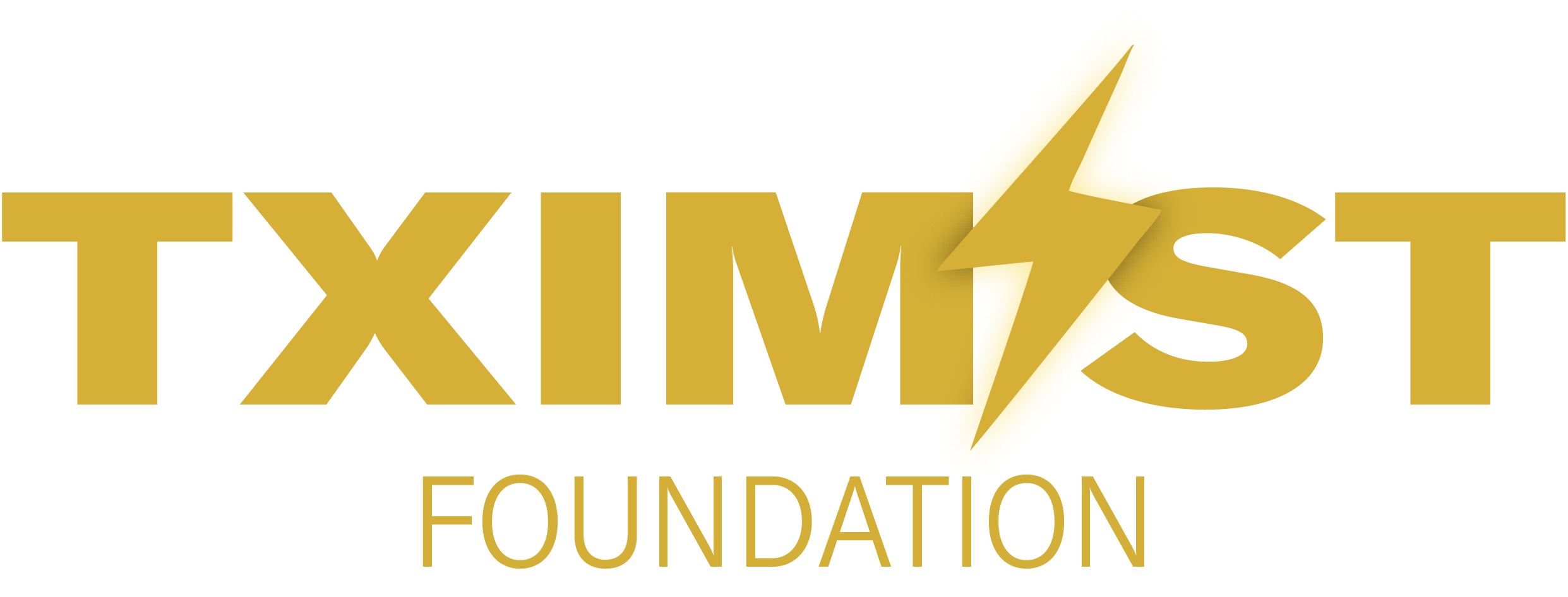 TXIMIST Foundation